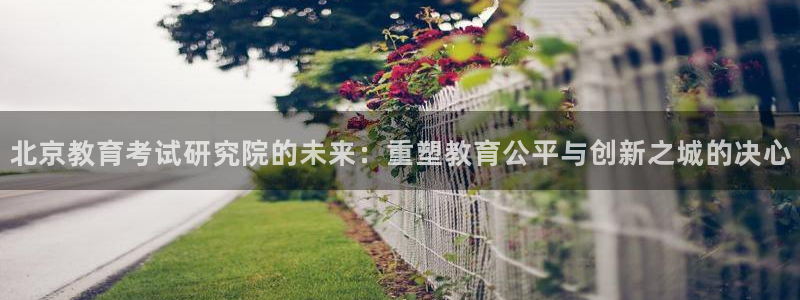 新航佳苑娱乐：北京教育考试研究院的未来：重塑教育公平与创新之