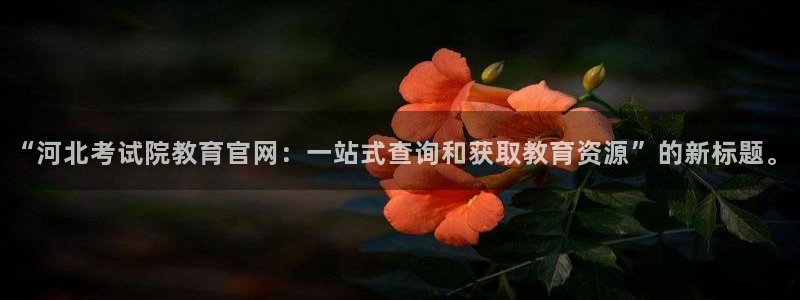 新航娱乐公司怎么样：“河北考试院教育官网：一站式查询和获取教