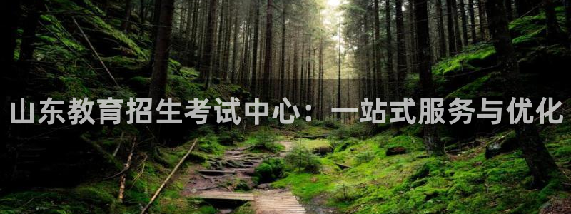 新航娱乐怎么注册账号：山东教育招生考试中心：一站式服务与优化