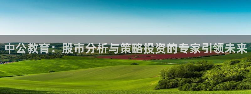 阜新航空娱乐：中公教育：股市分析与策略投资的专家引领未来
