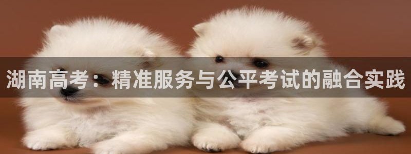 新航娱乐怎么开户：湖南高考：精准服务与公平考试的融合实践