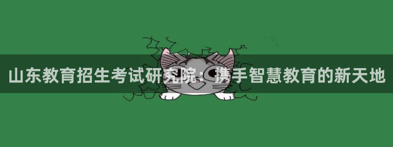 新航娱乐app下载安装：山东教育招生考试研究院：携手智慧教育