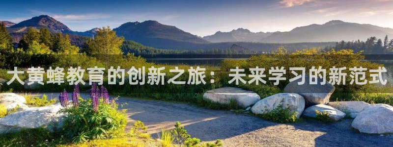 新航娱乐代理：大黄蜂教育的创新之旅：未来学习的新范式