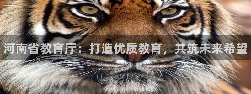 新航娱乐怎么样：河南省教育厅：打造优质教育，共筑未来希望