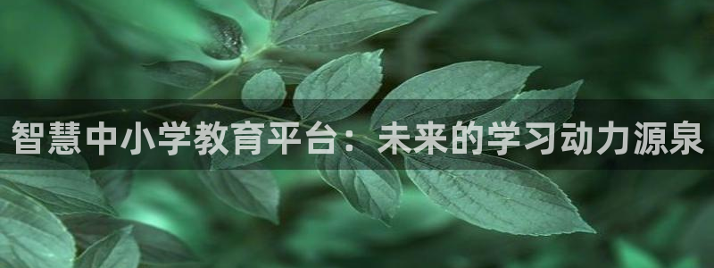 新航线娱乐：智慧中小学教育平台：未来的学习动力源泉