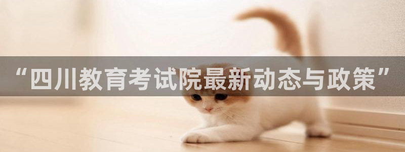 开启娱乐新航线：“四川教育考试院最新动态与政策”