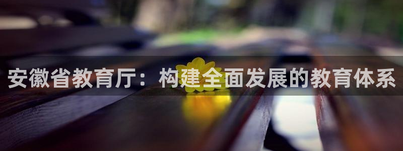 新航娱乐属于什么档次：安徽省教育厅：构建全面发展的教育体系