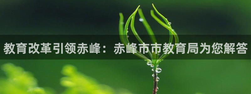 新航娱乐主管：教育改革引领赤峰：赤峰市市教育局为您解答
