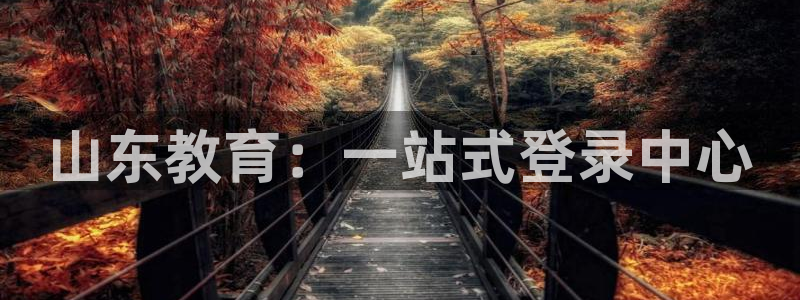 新航娱乐代理：山东教育：一站式登录中心
