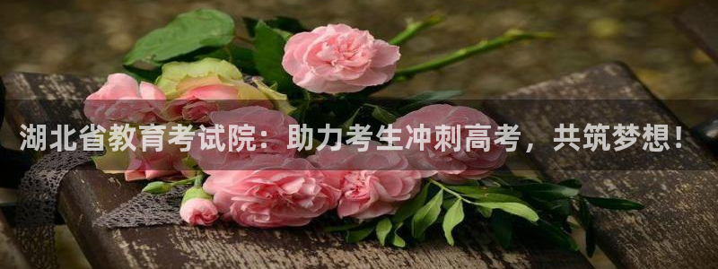 新航娱乐公司艺人招聘：湖北省教育考试院：助力考生冲刺高考，共