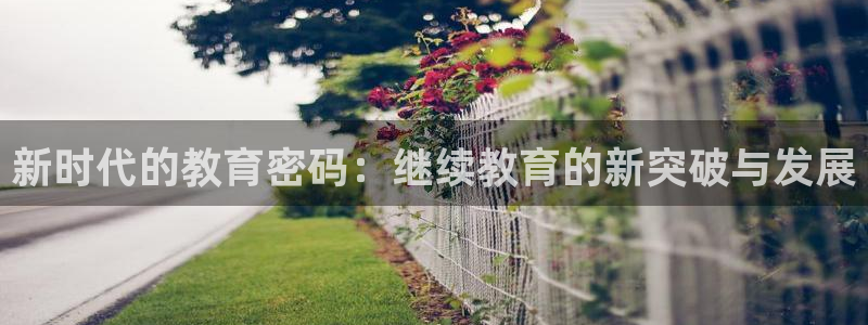 成都中创新航娱乐区：新时代的教育密码：继续教育的新突破与发展