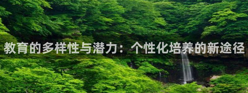 新航娱乐官方首页：教育的多样性与潜力：个性化培养的新途径