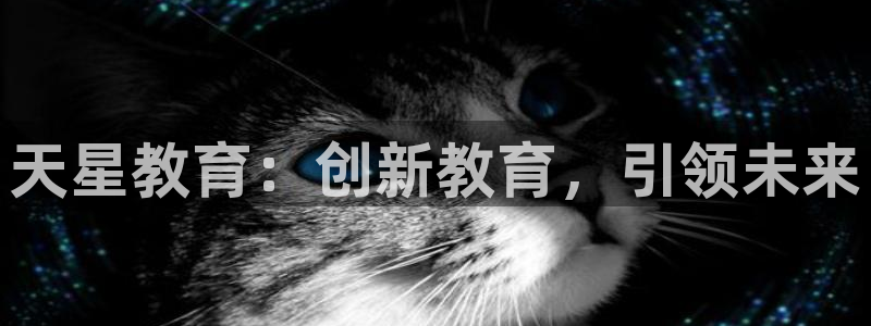 新航娱乐扣款详情：天星教育：创新教育，引领未来