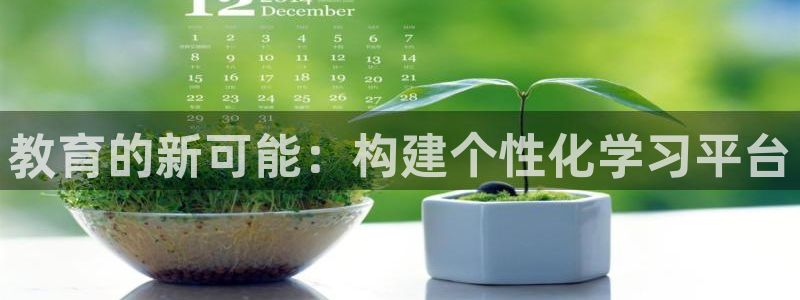 新航娱乐是干嘛的：教育的新可能：构建个性化学习平台