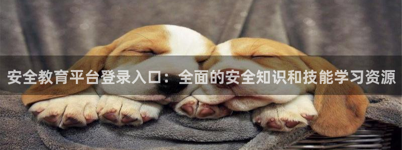 新航娱乐传媒招聘：安全教育平台登录入口：全面的安全知识和技能