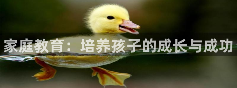 新航头等舱套房娱乐屏：家庭教育：培养孩子的成长与成功
