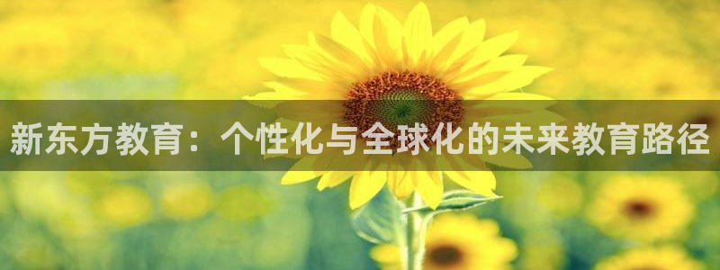 新航娱乐平台登录入口：新东方教育：个性化与全球化的未来教育路