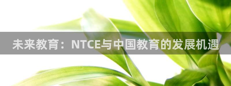 高州新航线娱乐俱乐部：未来教育：NTCE与中国教育的发展机遇