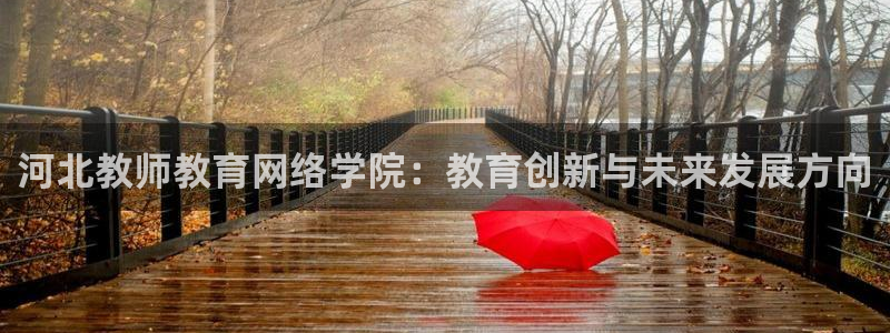 新航足浴娱乐会所：河北教师教育网络学院：教育创新与未来发展方