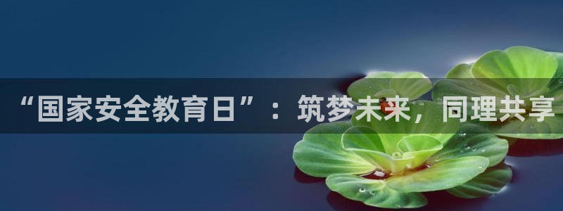 新航娱乐管理有限公司：“国家安全教育日”：筑梦未来，同理共享