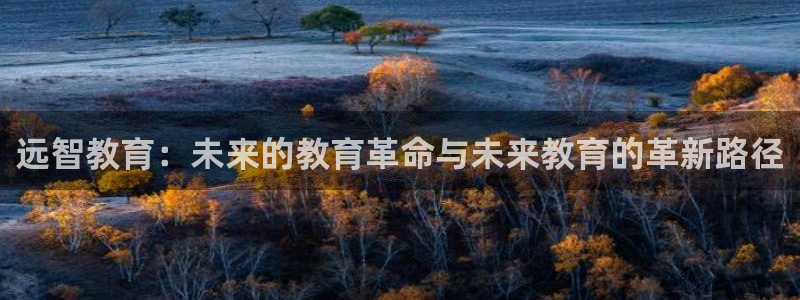 打造娱乐新航母：远智教育：未来的教育革命与未来教育的革新路径
