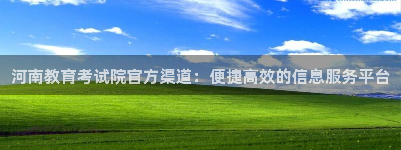 新航娱乐公司招聘信息网：河南教育考试院官方渠道：便捷高效的信