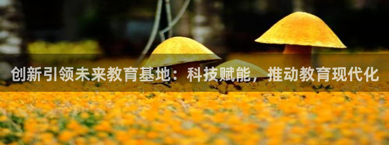 新航娱乐公司地址：创新引领未来教育基地：科技赋能，推动教育现