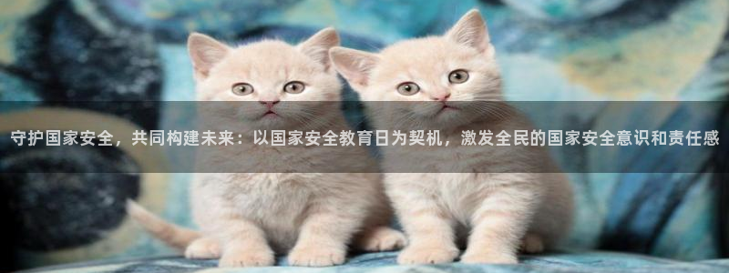 新航娱乐官方：守护国家安全，共同构建未来：以国家安全教育日为