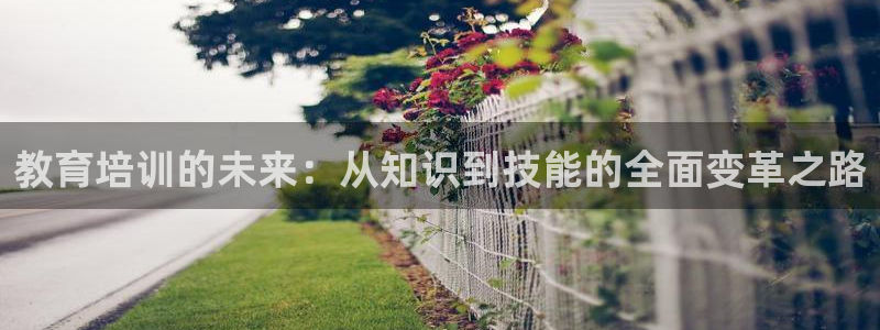 新航娱乐街7O935：教育培训的未来：从知识到技能的全面变革