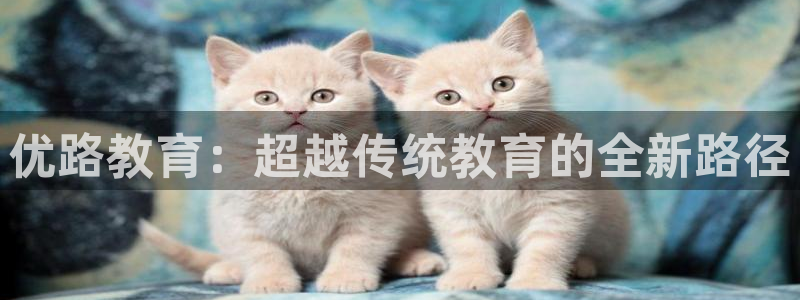 新航娱乐：优路教育：超越传统教育的全新路径