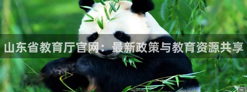 新航娱乐有限公司怎么样：山东省教育厅官网：最新政策与教育资源