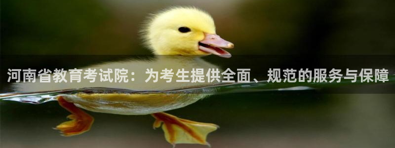 新航娱乐有限公司怎么样：河南省教育考试院：为考生提供全面、规