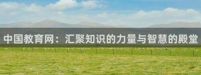 新航娱乐公司问题解决：中国教育网：汇聚知识的力量与智慧的殿堂
