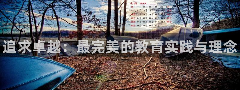 新航娱乐旗下平台有哪些：追求卓越：最完美的教育实践与理念
