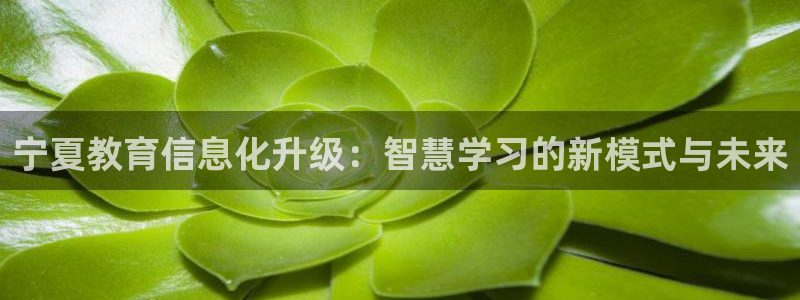 新航娱乐官网地址：宁夏教育信息化升级：智慧学习的新模式与未来