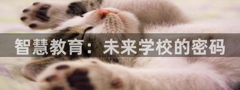 新航娱乐平台注册：智慧教育：未来学校的密码