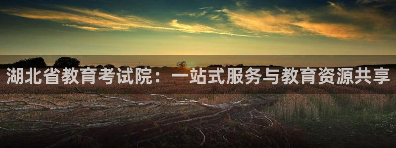 中国新航娱乐平台官网：湖北省教育考试院：一站式服务与教育资源