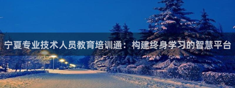 新航文化娱乐传媒招聘：宁夏专业技术人员教育培训通：构建终身学