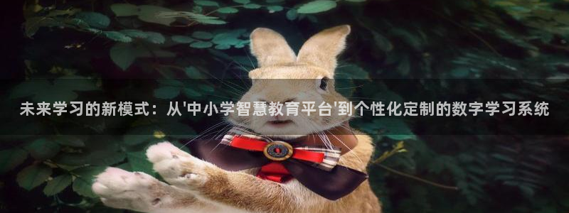 新航娱乐公司简介图片：未来学习的新模式：从\'中小学智慧教育