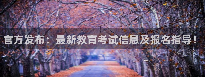 新航娱乐旗下艺人列表：官方发布：最新教育考试信息及报名指导！