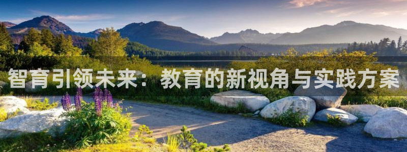 新航娱乐有限公司：智育引领未来：教育的新视角与实践方案