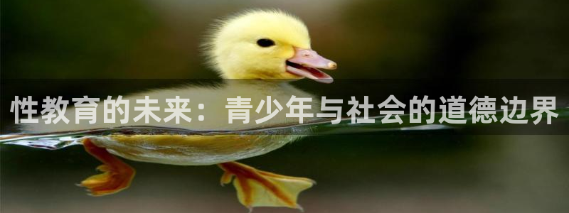 新航娱乐公司招聘信息：性教育的未来：青少年与社会的道德边界