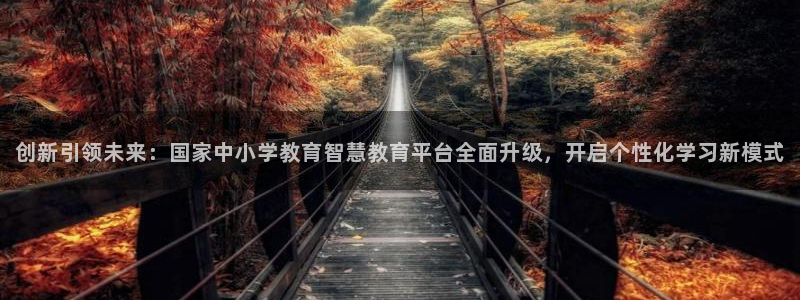 新航 娱乐系统：创新引领未来：国家中小学教育智慧教育平台全面