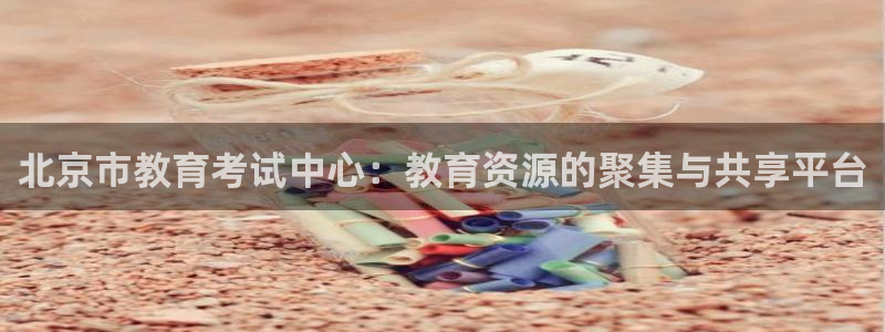 新航娱乐平台app下载：北京市教育考试中心：教育资源的聚集与