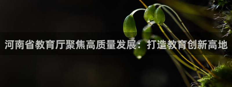 新航线娱乐会所：河南省教育厅聚焦高质量发展：打造教育创新高地