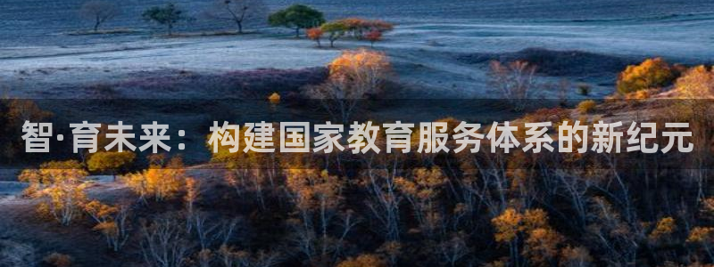 新航娱乐有限公司怎么样：智·育未来：构建国家教育服务体系的新
