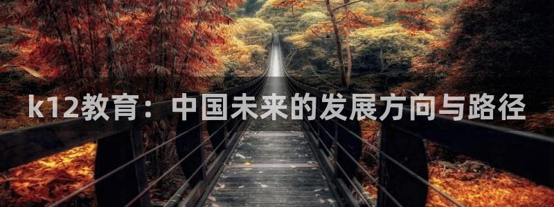 新航娱乐是干嘛的：k12教育：中国未来的发展方向与路径