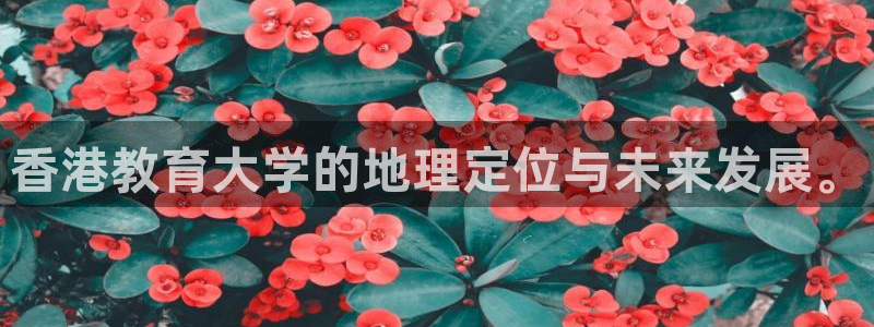 新航娱乐登录网站：香港教育大学的地理定位与未来发展。