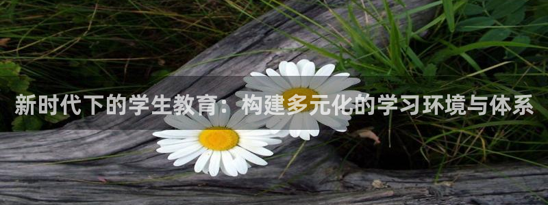 新航娱乐公司简介资料：新时代下的学生教育：构建多元化的学习环