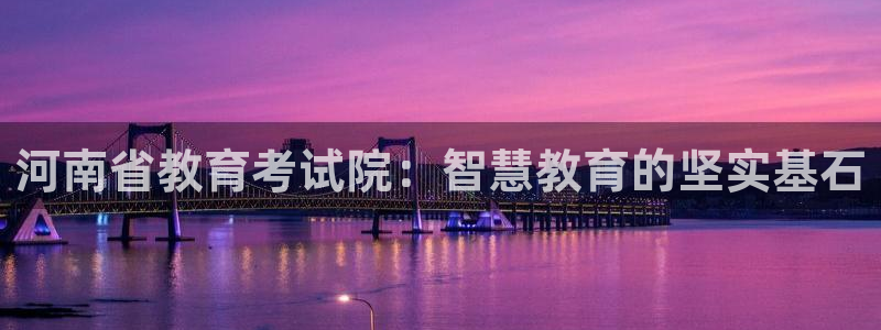 新航娱乐属于什么档次：河南省教育考试院：智慧教育的坚实基石